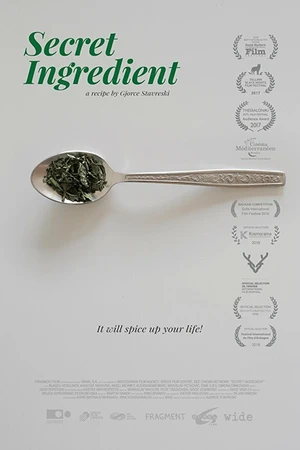 Постер к фильму Целитель (2017)