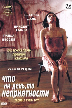 Постер к фильму Что ни день, то неприятности (2001)