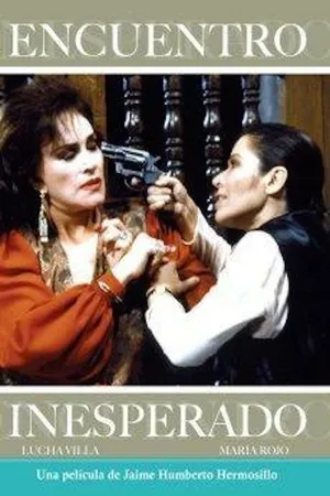 Постер к фильму Неожиданная встреча (1993)