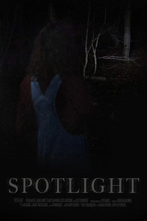 Постер к фильму Spotlight (2017)
