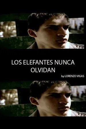 Постер к фильму Los elefantes nunca olvidan (2004)