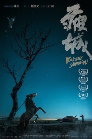 Постер к фильму Убей тень (2017)