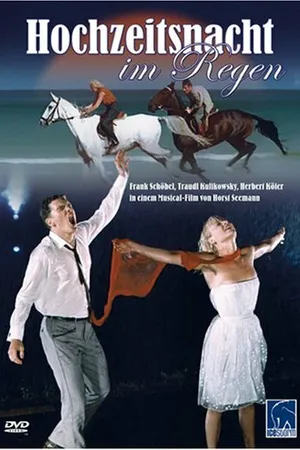 Постер к фильму Свадебная ночь под дождем (1966)
