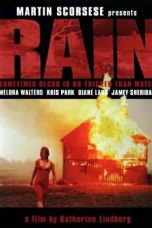Постер к фильму Дождь (2001)