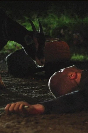 Постер к фильму Goatman of Kananaskis (2017)