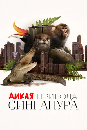 Постер к сериалу Дикая природа Сингапура (2016 - 2020)