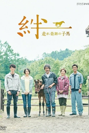 Постер к сериалу Узы: Чудесный жеребёнок (2017)