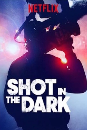 Постер к сериалу Shot in the Dark (2017)