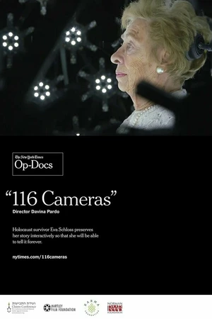 Постер к фильму 116 Cameras (2017)