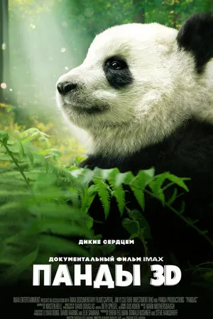 Постер к фильму Панды 3D (2018)