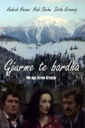 Постер к фильму Gjurmët e bardha (1980)