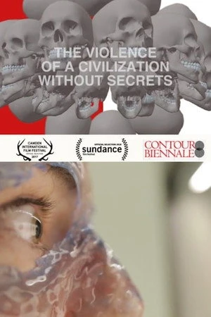 Постер к фильму The Violence of a Civilization without Secrets (2018)