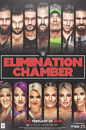 Постер к фильму WWE Камера ликвидации (2018)