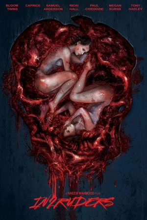 Постер к фильму In2ruders (2018)