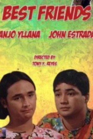 Постер к фильму Best Friends (1995)