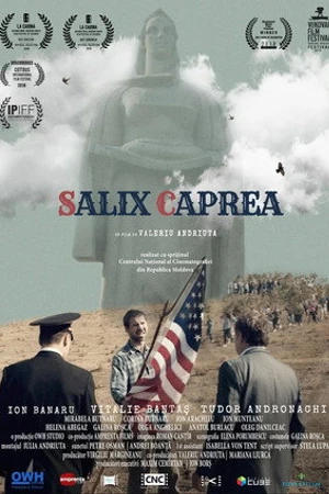 Постер к фильму Salix Caprea (2018)