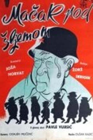 Постер к фильму Кот под шлемом (1962)