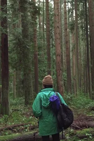 Постер к фильму Forest Movie (2017)
