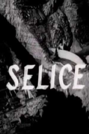 Постер к фильму Selice (1965)