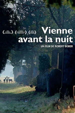 Постер к фильму Vienne avant la nuit (2017)
