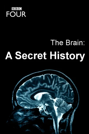 Постер к сериалу The Brain: A Secret History (2011)