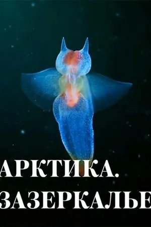 Постер к фильму Арктика. Зазеркалье (2017)