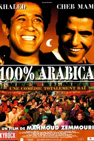 Постер к фильму 100% араб (1997)
