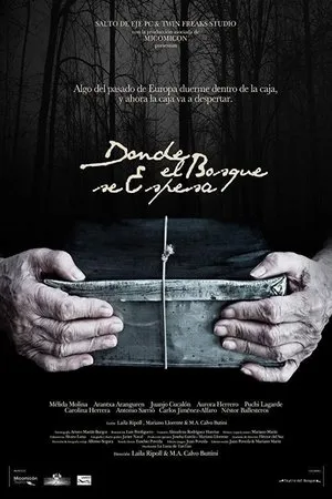 Постер к фильму Donde el bosque se espesa (2017)