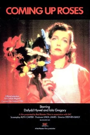 Постер к фильму Rhosyn a Rhith (1986)