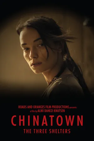 Постер к фильму Chinatown: The Three Shelters (2018)