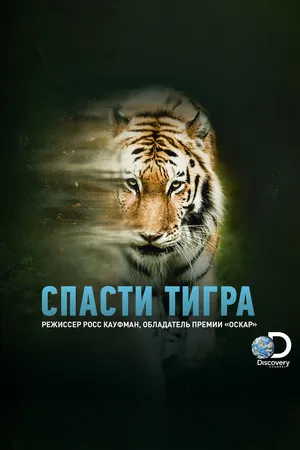 Постер к фильму Спасти тигра (2019)