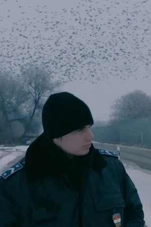 Постер к фильму Everything Alright (2018)