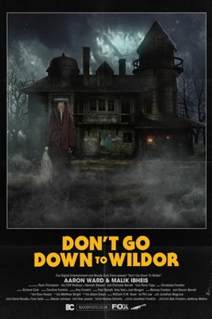 Постер к фильму Don't Go Down to Wildor (2017)