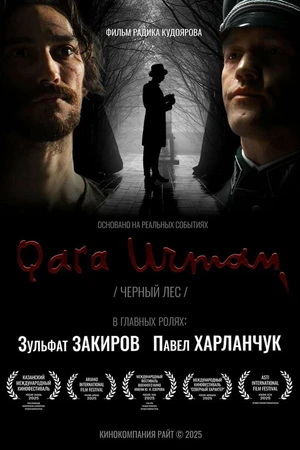 Постер к фильму Чёрный лес (2024)