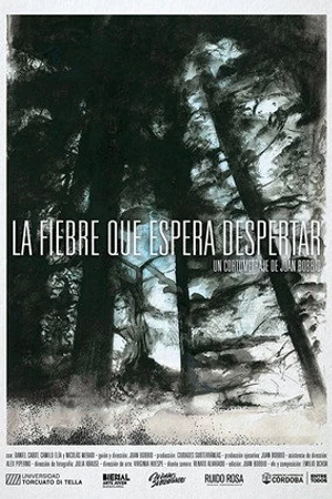 Постер к фильму La fiebre que espera despertar (2017)