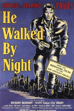Постер к фильму Он бродил по ночам (1948)