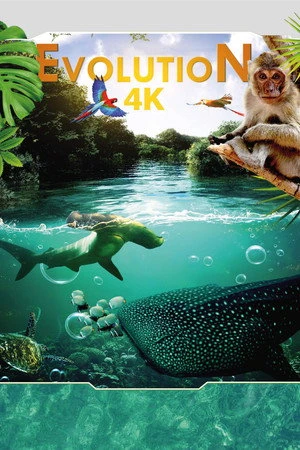 Постер к фильму Evolution 4K (2018)