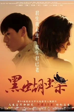 Постер к фильму Hei hu di (2017)