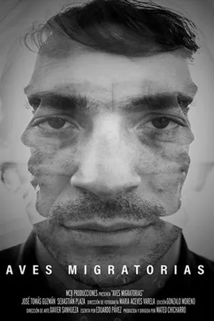 Постер к фильму Aves Migratorias (2018)