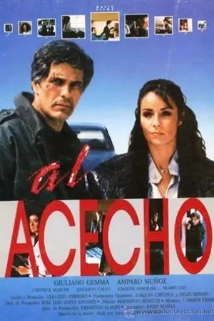 Постер к фильму Слежка (1987)