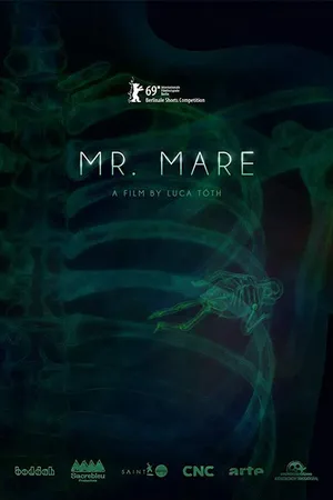 Постер к мультфильму Мистер Маре (2019)