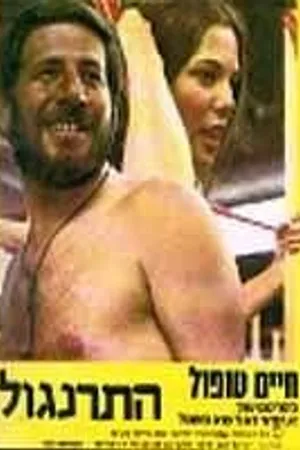 Постер к фильму Петушок (1971)