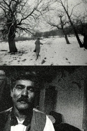 Постер к фильму Dobré srdce (Lačho jilo) (1999)