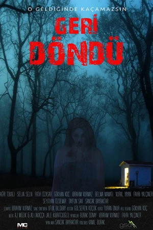 Постер к фильму Geri döndü (2017)
