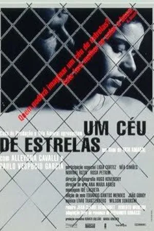Постер к фильму Звездное небо (1996)