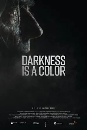 Постер к фильму The Darkness Is a Color (2017)