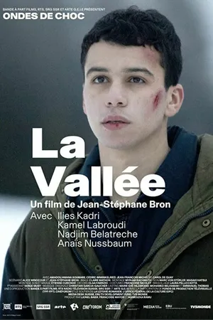 Постер к фильму La vallée (2018)