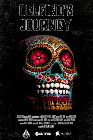 Постер к фильму Delfino's Journey (2026)