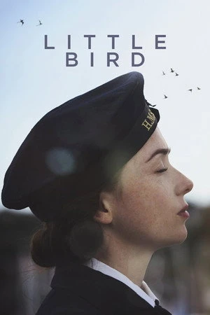 Постер к фильму Little Bird (2017)