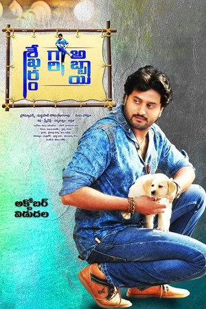 Постер к фильму Sekharam Gari Abbayi (2017)